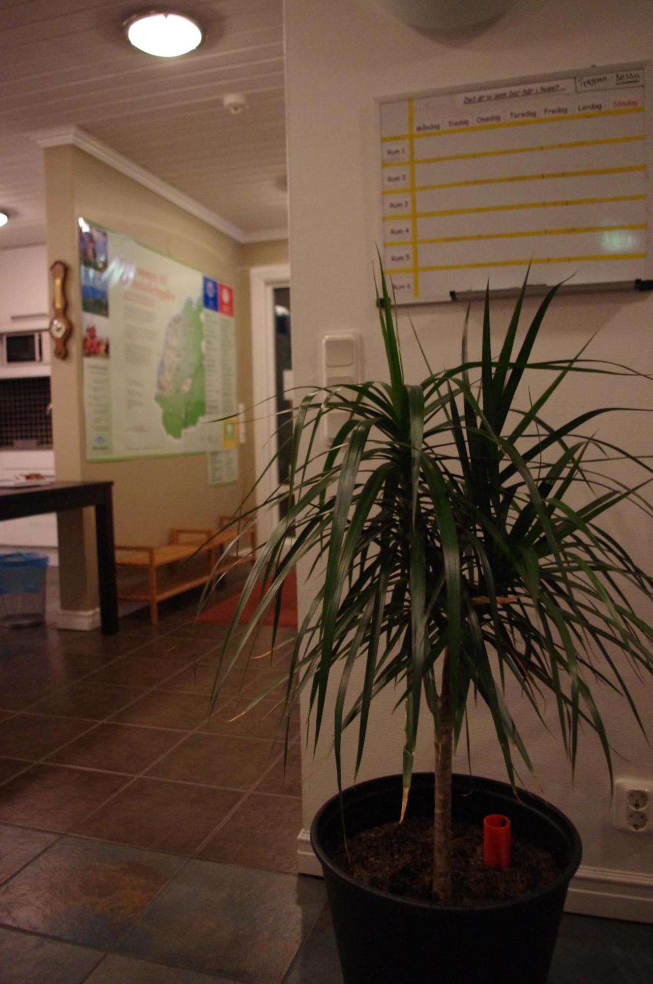 Aeventyrsgardens Vandrarhem, Kinnekulle Kallby ภายนอก รูปภาพ