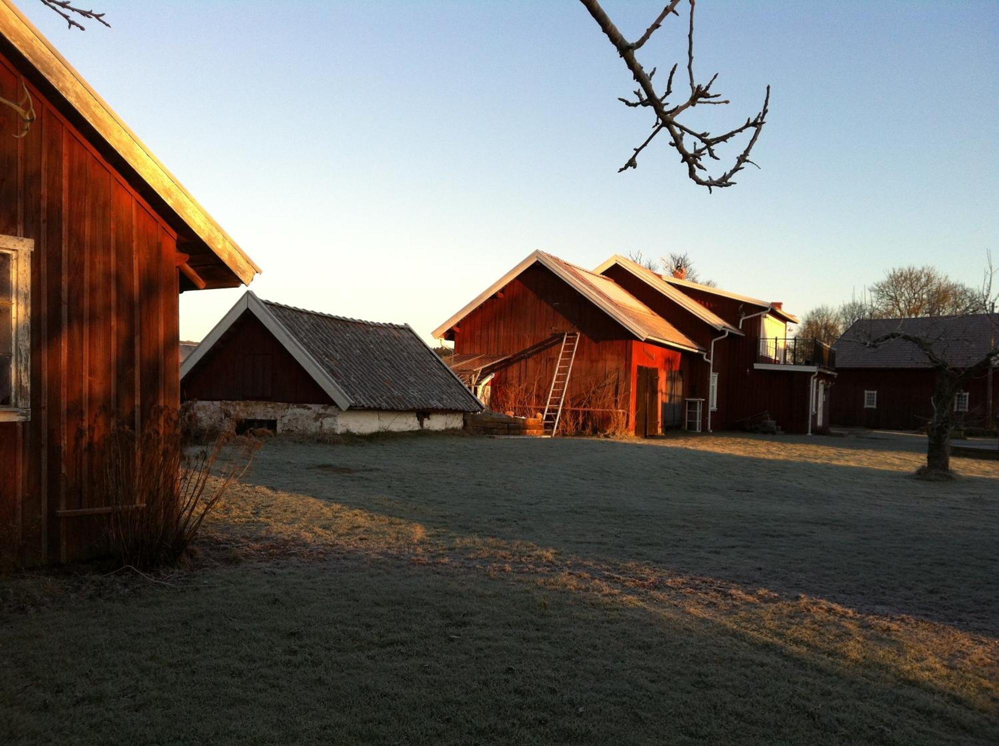 Aeventyrsgardens Vandrarhem, Kinnekulle Kallby ภายนอก รูปภาพ